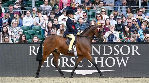 horse show online results.